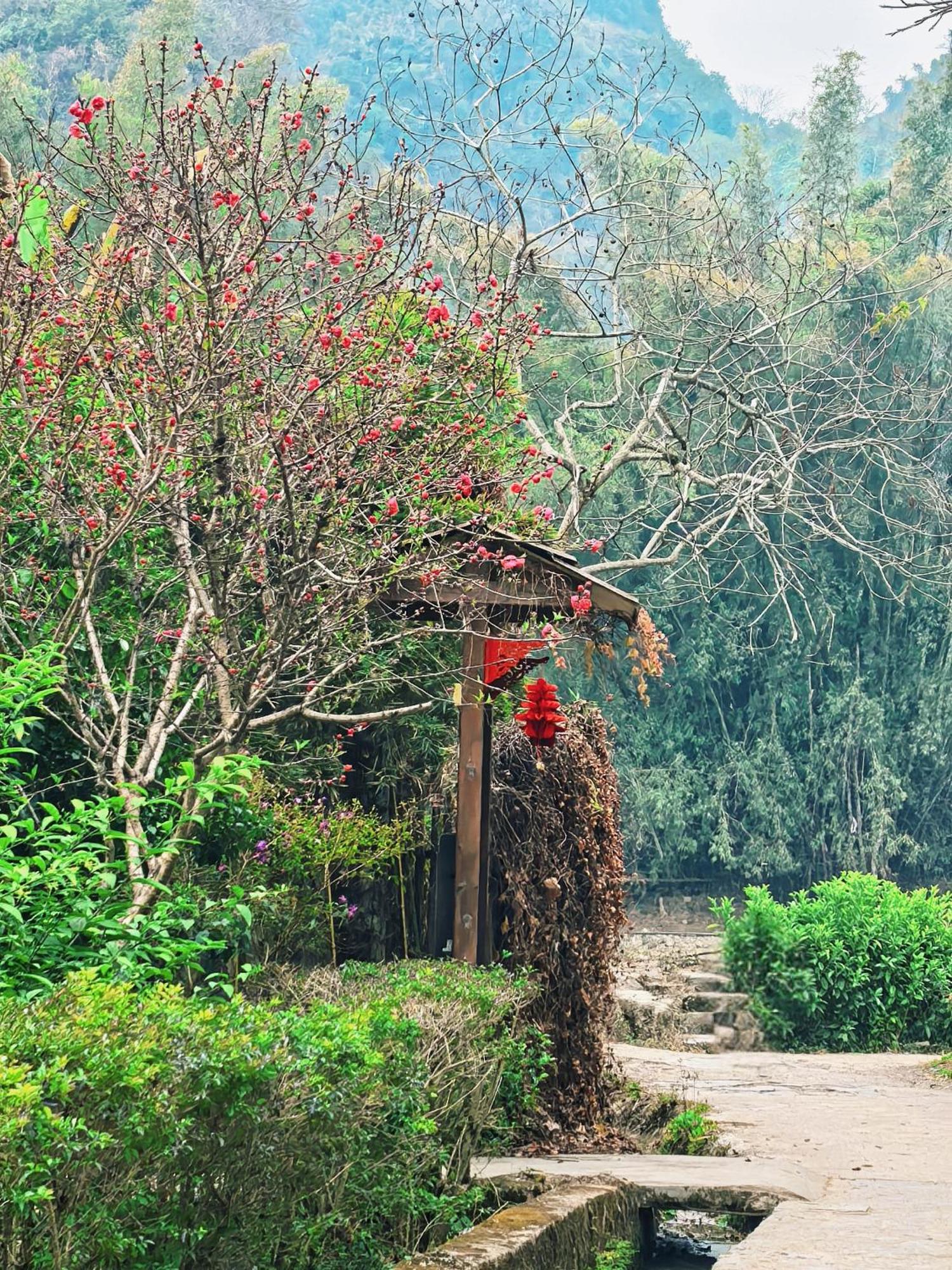The Apsara Lodge Yangshuo Extérieur photo